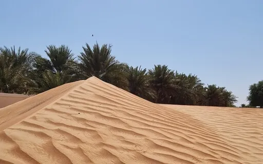 Meditation On Our Search For Happiness