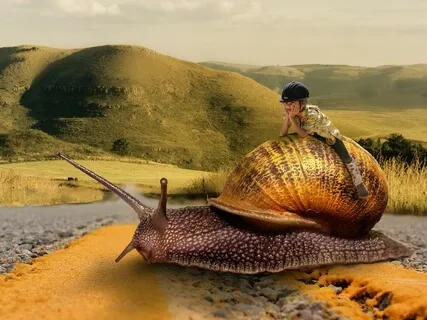 Meditation On Patience