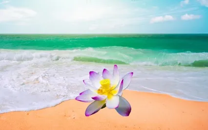 Meditation On Remaining Calm And Centered In A Busy World