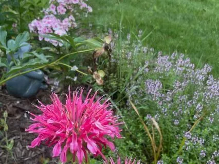 Meditation On Sound - The Symphony Around You