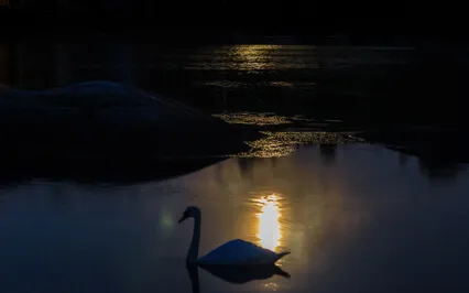 Meditation On Still Lake In Moonlight With Mantra So Ham