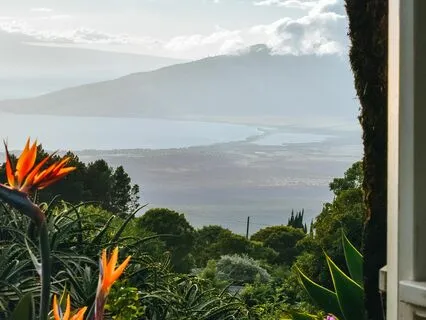 Meditation On Surrendering And Abundance