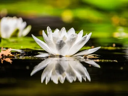 Taking Medicine Within