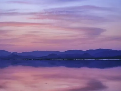 Meditation on the Breath