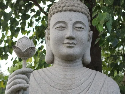 The Changing Nature Of Experience