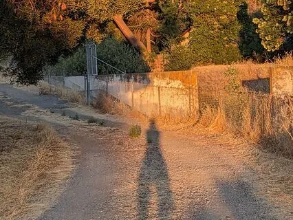 Meditation On The Dance Of Shadow And Light