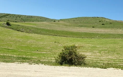 Meditation On The Ego And The Need For Wholeness