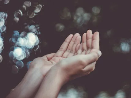 Meditation On The Five Daily Reflections