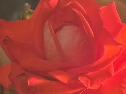 Meditation On The Love In Your Soul