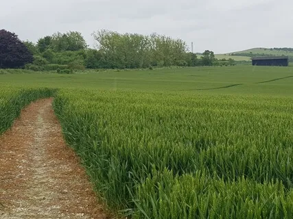 Meditation On The Move - Appreciation 