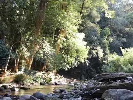 Meditation on the Senses