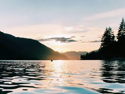 Meditation On The Senses