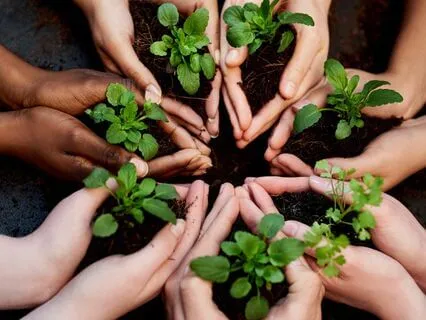 Meditation On The Seven Choices Of Maturity And Character