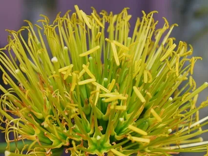 Tune In To Your Essential Nature