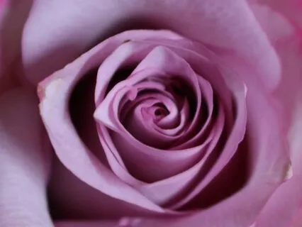 Meditation On The Stillness Between Breaths