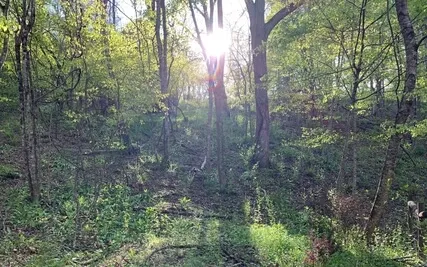 Meditation On The Third Foundation