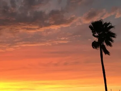 Meditation On Thoughts