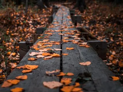 Meditation On Transience