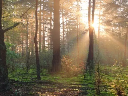 Meditation On “Turning Towards”