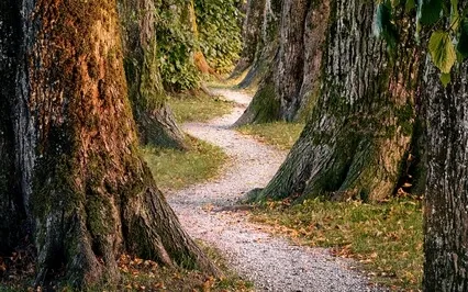 Meditation On Yamas & Niyamas