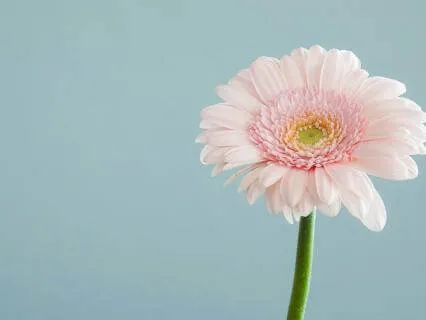 Meditation: Pausing With Self-directed Anger