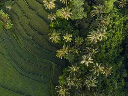 Find Peace Through Love