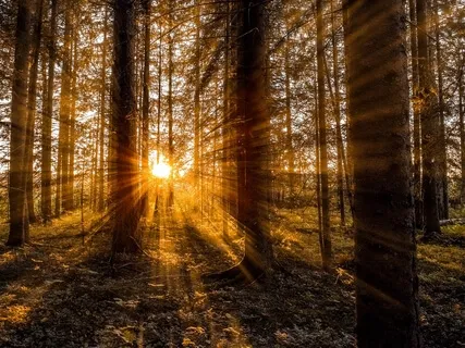 Meditation Piano Music