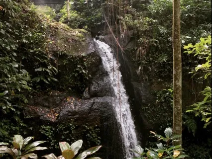 Meditation Poem: I Surrender