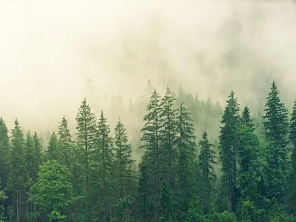 Meditation Powerful Gratitude Affirmations For The Soul