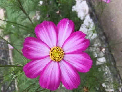 Meditation Reflection