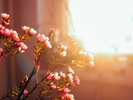 Meditation Refresh Short Talk & Meditation