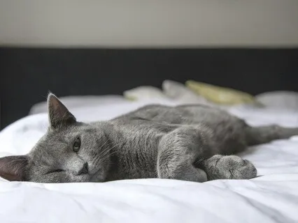 Meditation: Relaxing Bedtime Sleep Meditation For Deep Rest