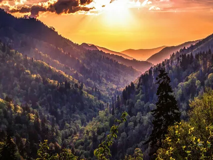 Root Chakra Sound Meditation - Note C2 (Earth Element, Feeling Of Safety, Grounding)