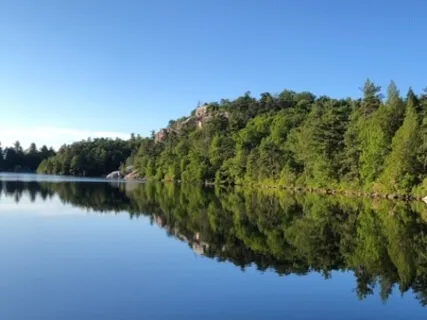 Meditation Segment - Connection