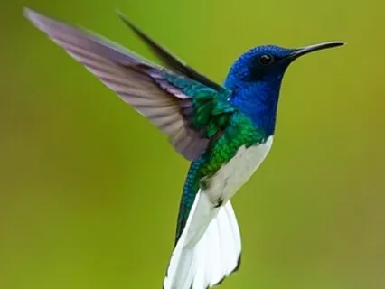 Soothing Anxiety & Releasing Resistance Meditation