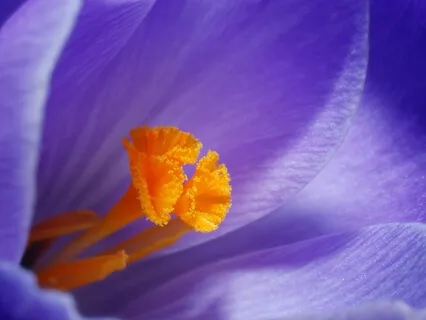 Self-Affirmations To Welcome