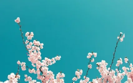 Meditation Series - The Seasons - Spring - Energize