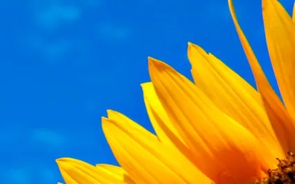 Meditation Series - The Seasons - Summer - Uplifting Energy