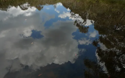 Meditation-Settling The Mind In Its Natural State