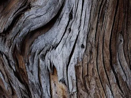 Meditation: Shielding & Grounding For Stability