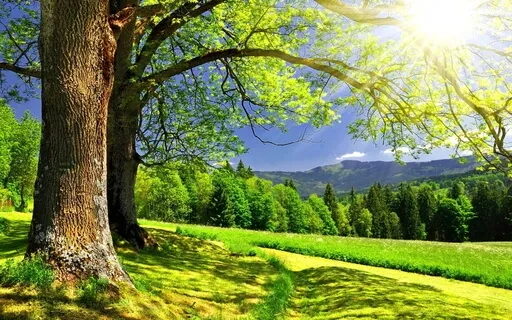 Meditation/Relaxing Track #2