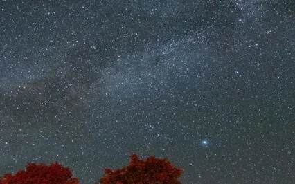 Meditation Sleep Music - Pure Calming