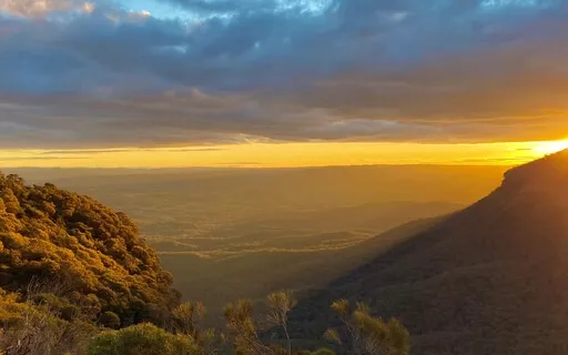 Meditation - Sloths, Anchors And Binoculars