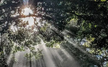 Meditation: The Heart Of Kindness And Compassion