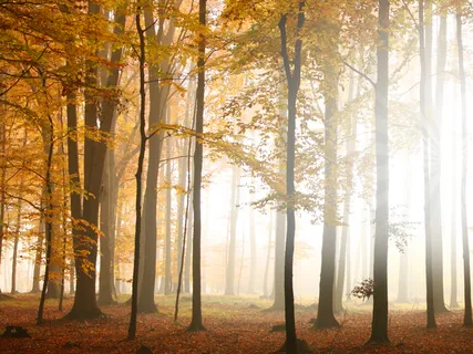 Third Eye Chakra Sound Meditation - Note A (Intuition, Foresight And Imagination) 