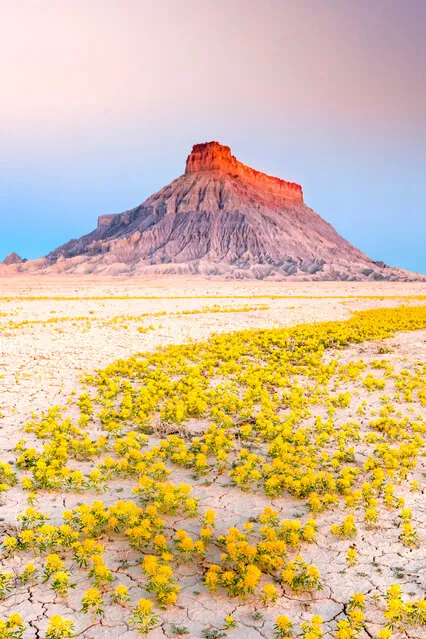 Third Eye Chakra Sound Meditation - Note A2 (Intuition, Foresight And Vision)