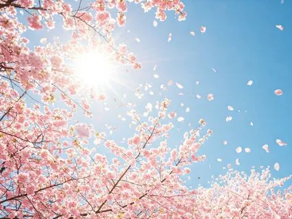 Meditation To Accelerate Gifts And Blessings