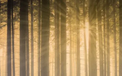 Meditation To Alleviate Depression