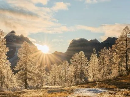 Meditation To Amplify Your Light!