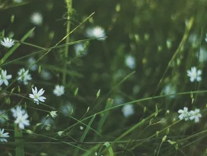 Meditation To Assist With Being Present